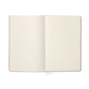 ARCONOT PLAIN — ARCONOT PLAIN