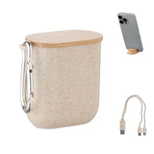 Cable set in case — CABSTRA