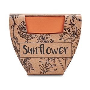 Terracotta pot 'sunflower'