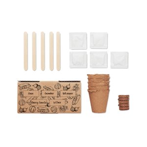 Salad growing kit — SALAD