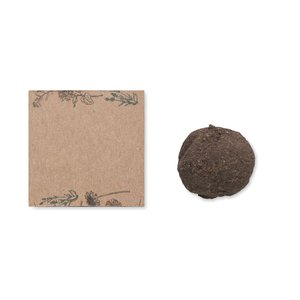 Seed ball growing kit