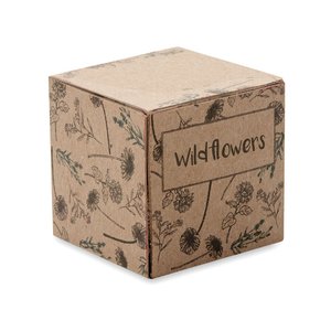 Seed ball growing kit