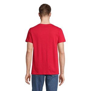 REGENT V — REGENT V - Back View