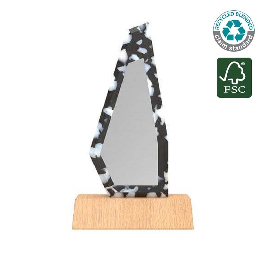 eco-neutral® Waste-to-Wins® FSC Beech Recycled Plastic Award