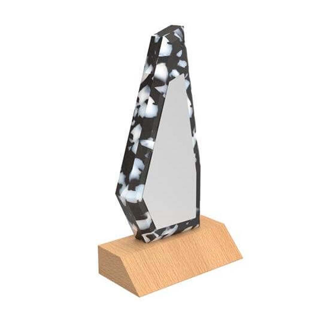 eco-neutral® Waste-to-Wins® FSC Beech Recycled Plastic Award