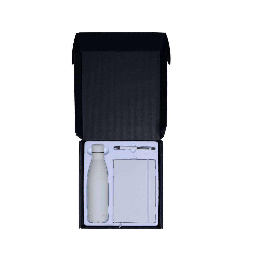 Giftology Set of Stainless Bottle, Notebook and Pen - White