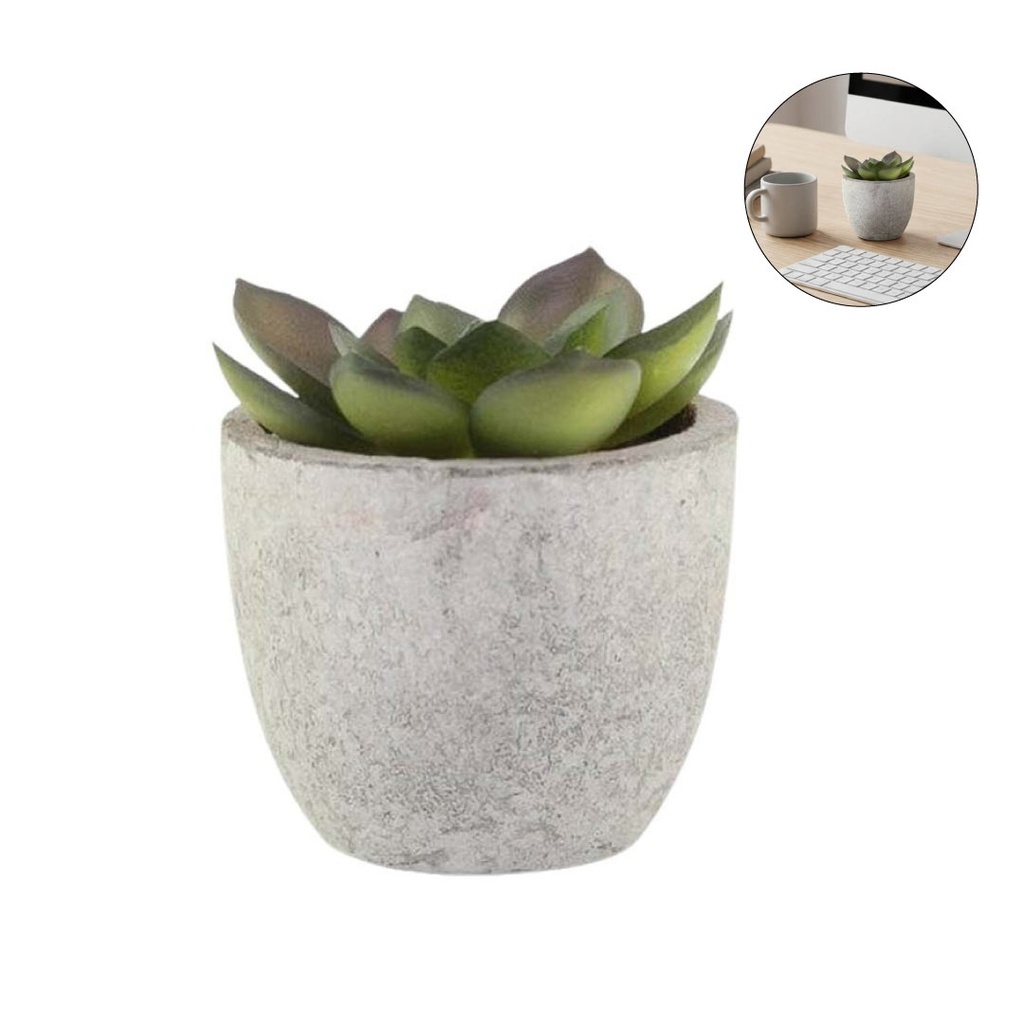 Artificial Succulent Plant in Pulp Pot