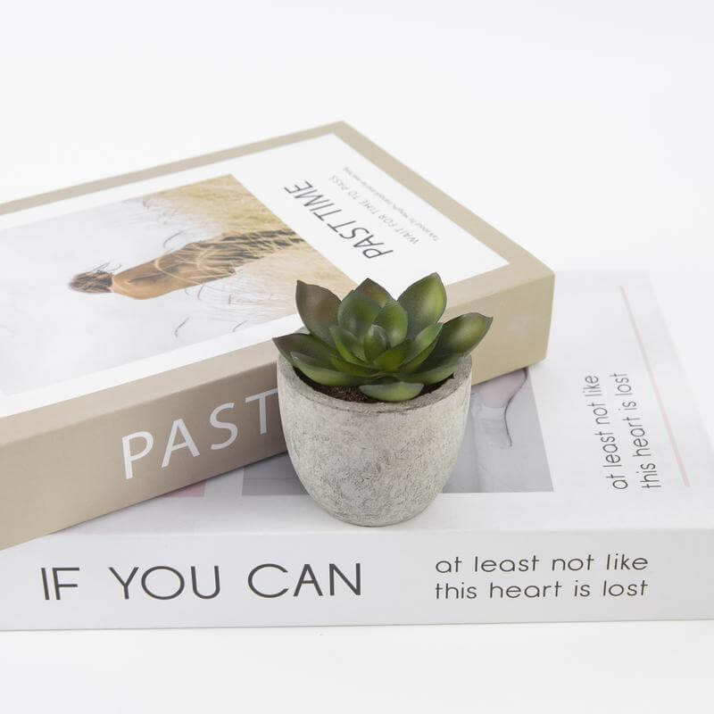 Artificial Succulent Plant in Pulp Pot