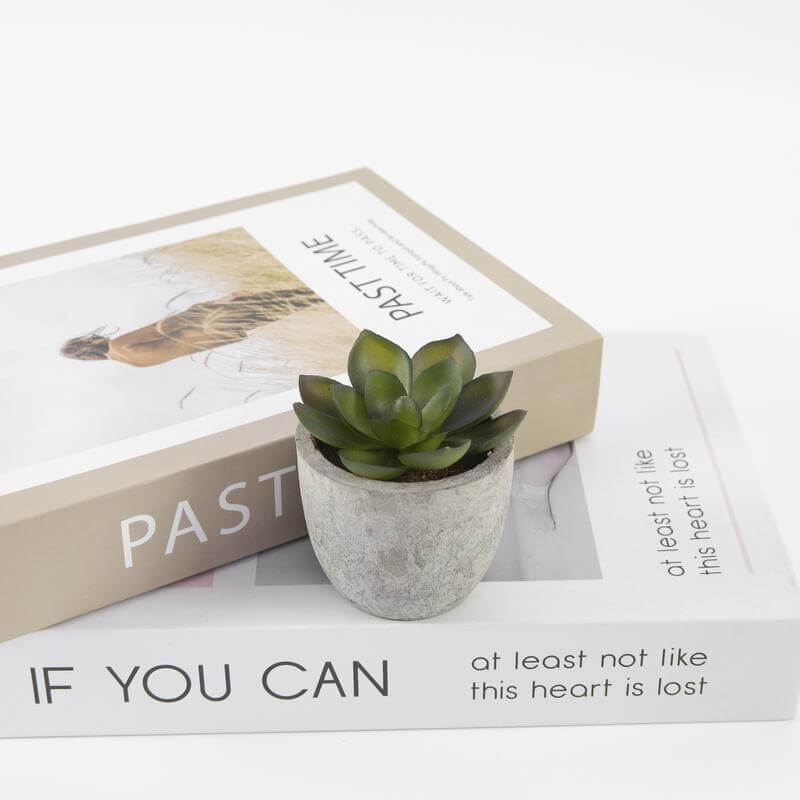 Artificial Succulent Plant in Pulp Pot