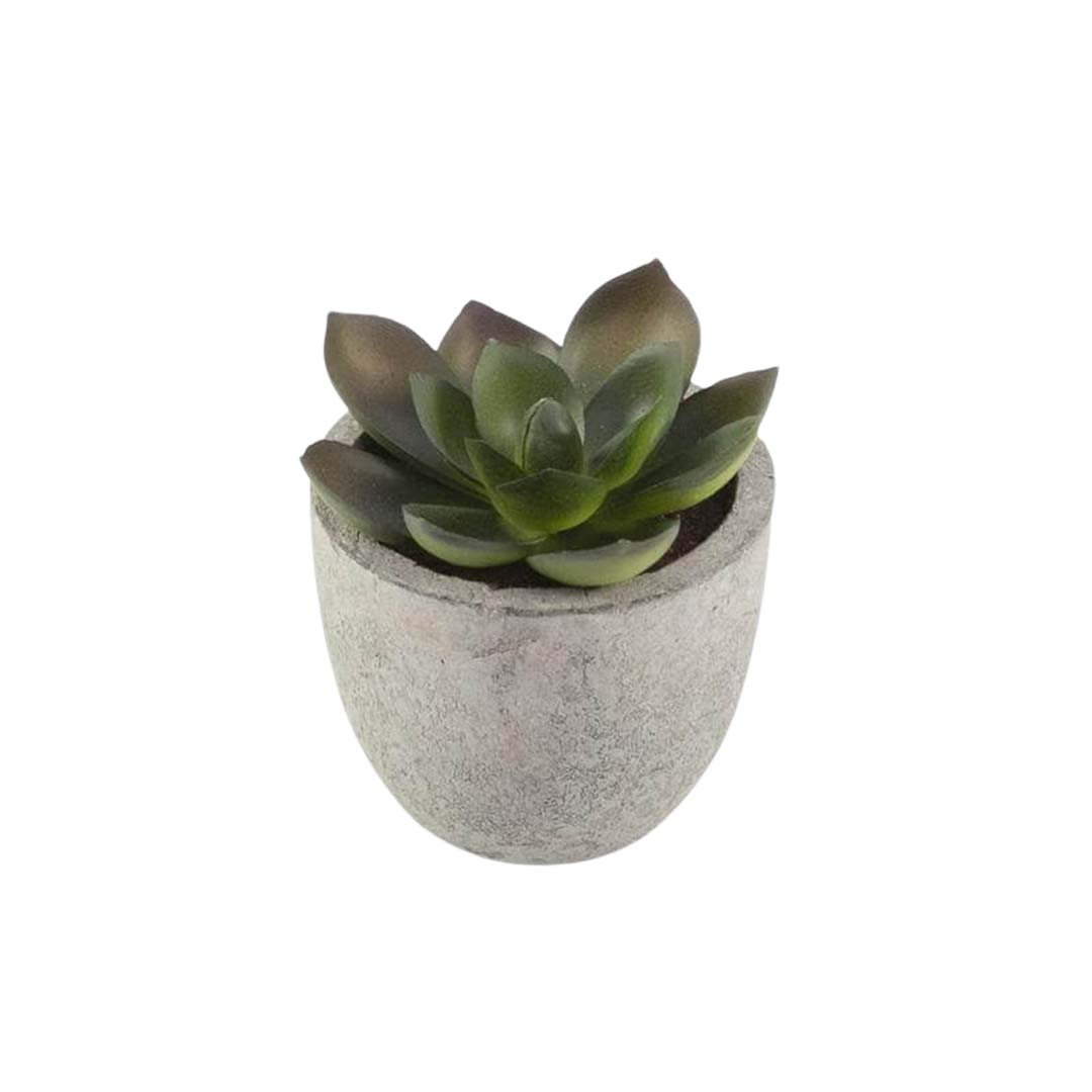 Artificial Succulent Plant in Pulp Pot