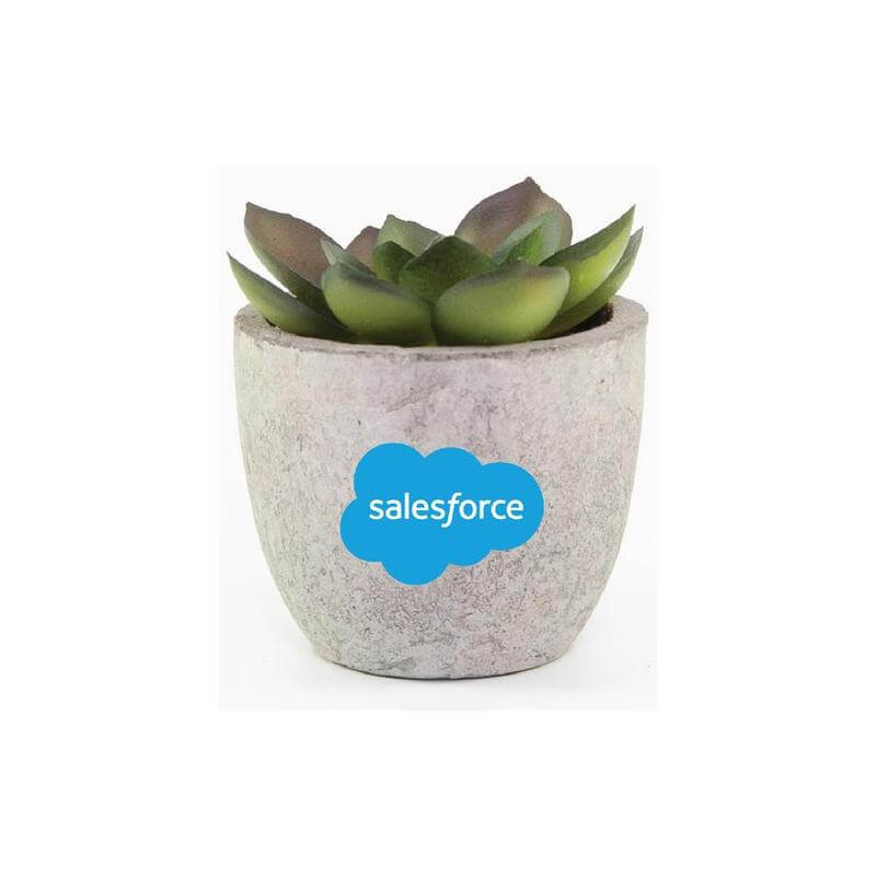 Artificial Succulent Plant in Pulp Pot