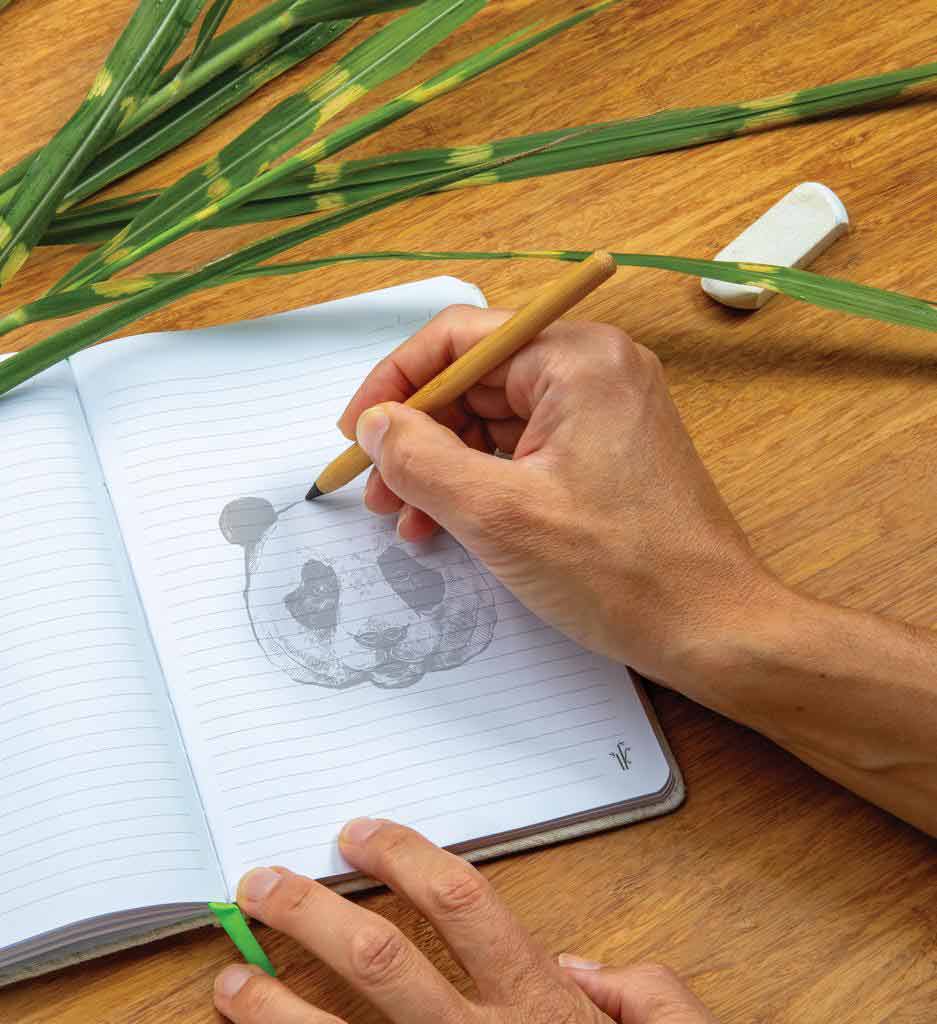 eco-neutral Bamboo 100x Long Lasting Pencil