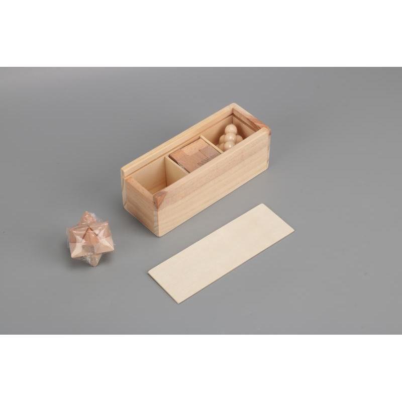 eco-neutral 3 pcs Brain Teaser Puzzle Set